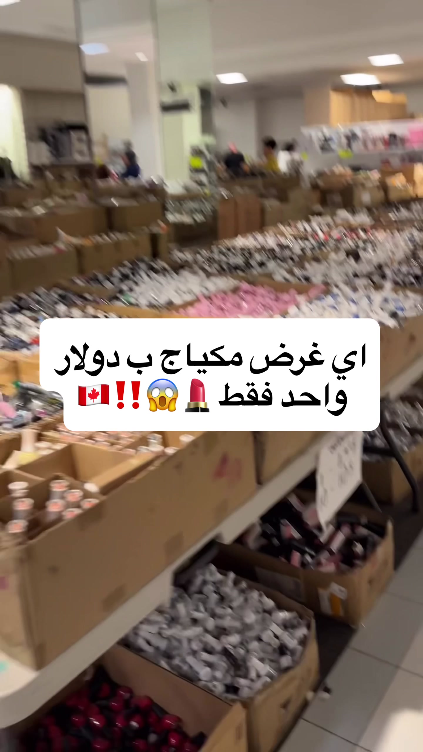@Mohamad Younes | أبو عمر