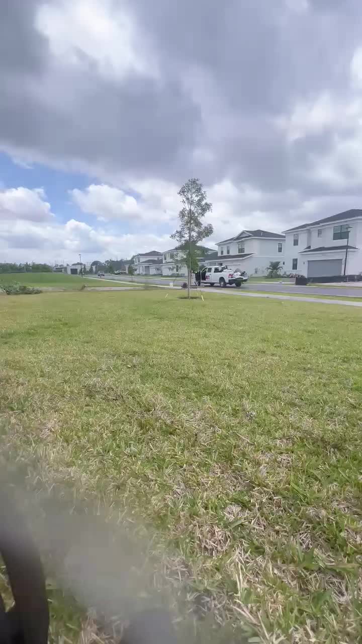 @El temerario 🐕