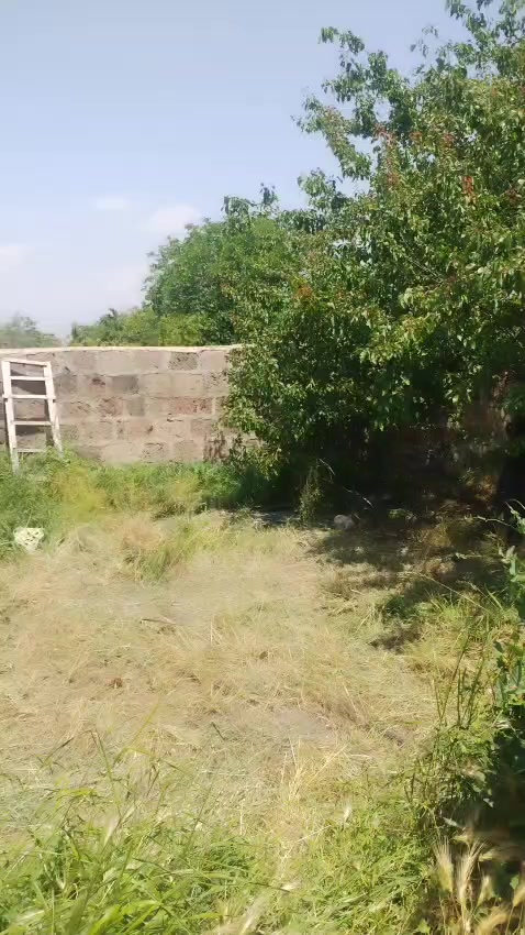 @ARMENIA
