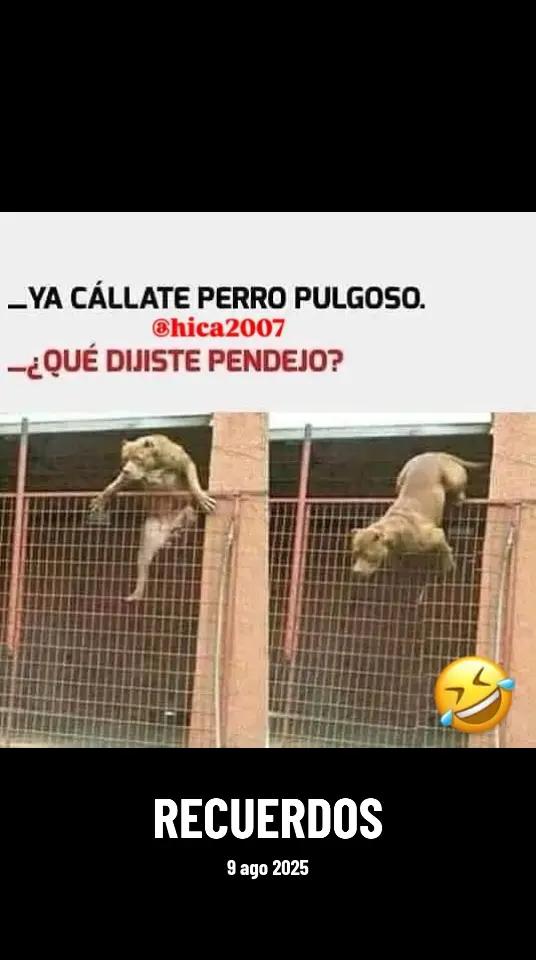 @Mauricio Klein