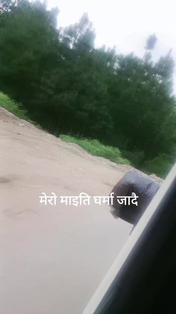 @ridam rawat