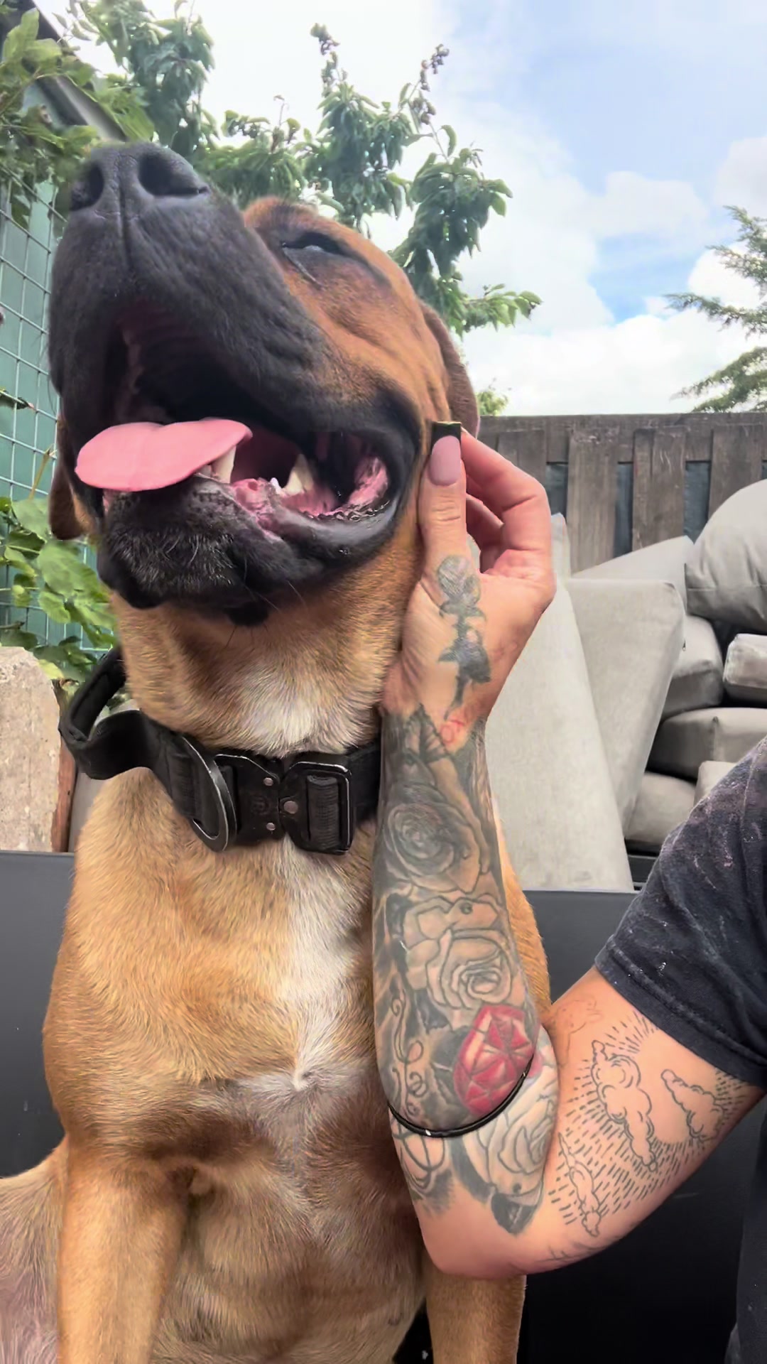 @💕Sara💕 SpartanMastiffs💕