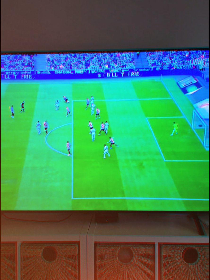 @🏆💙🤍Seb OM 13💙🧡🏆