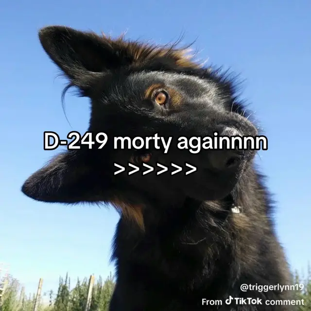 @Zeke