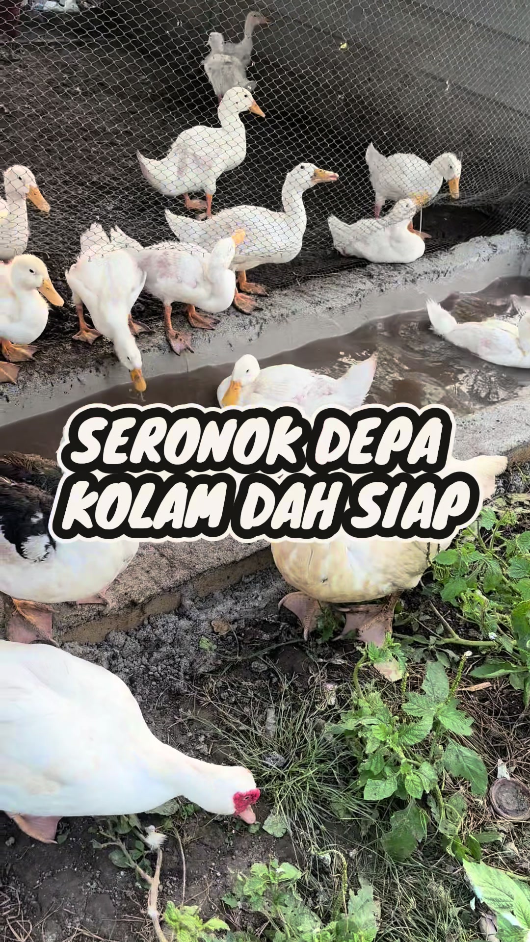 @Bio Sea Agriculture