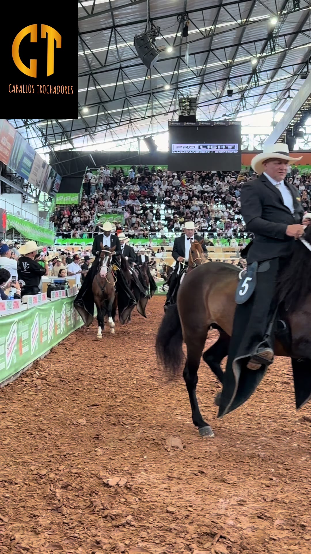 @Caballostrochadores
