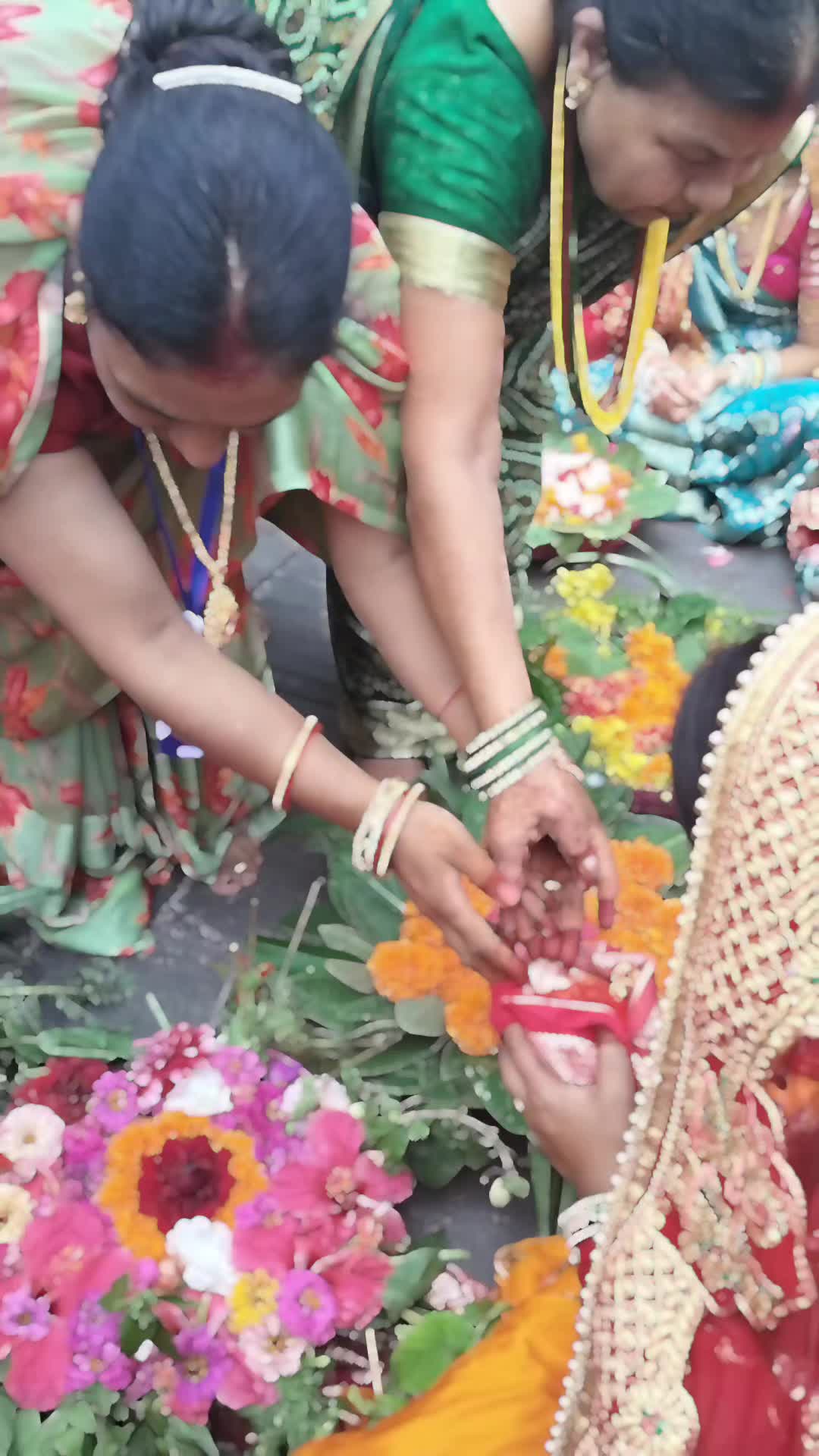 @Anjani Thakur🌻🌻