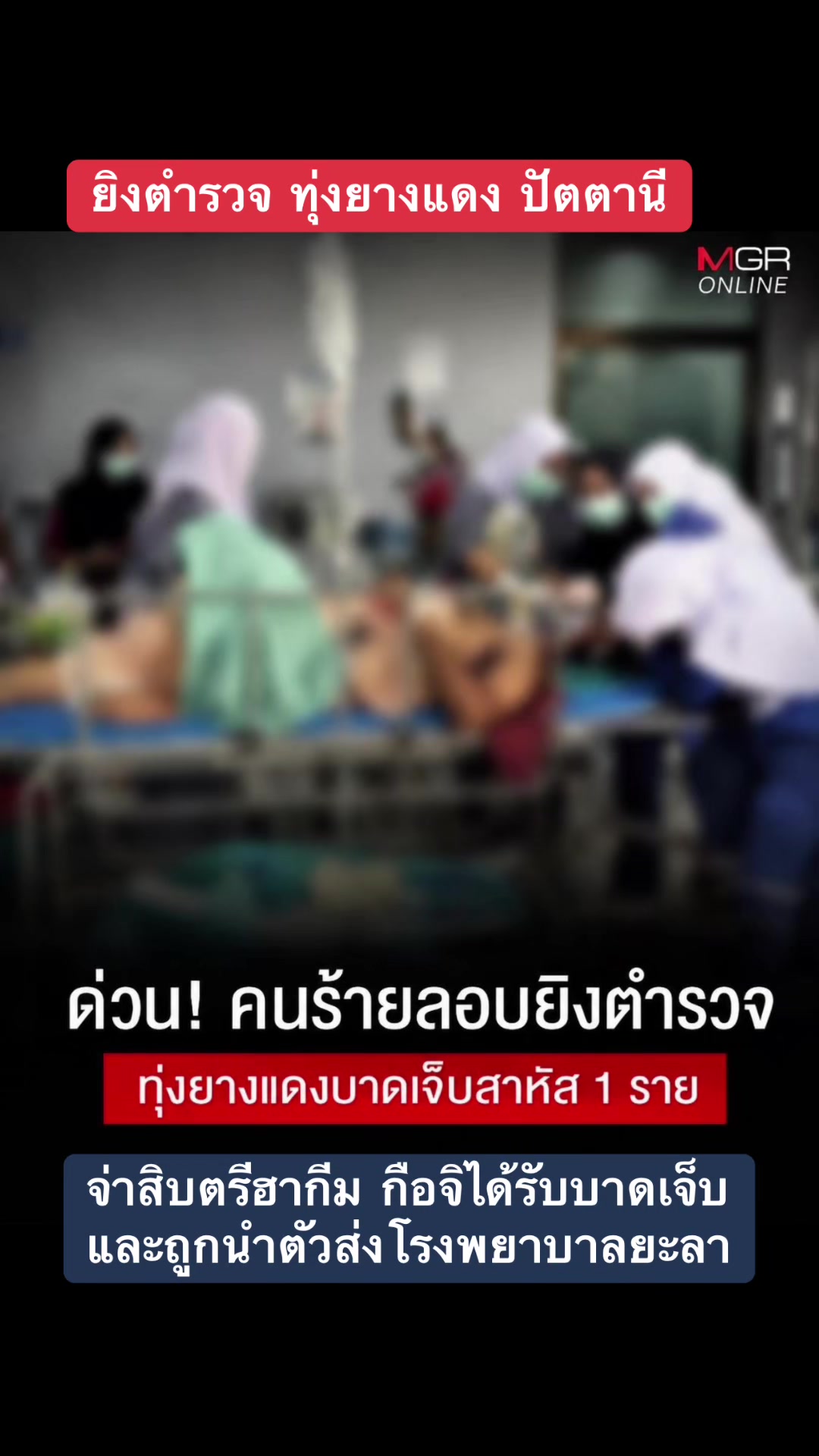 @ทาสแมว_News