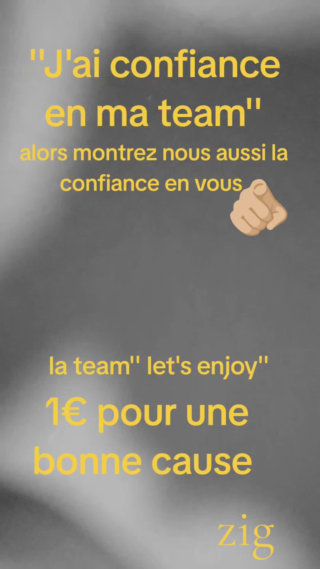 @zig