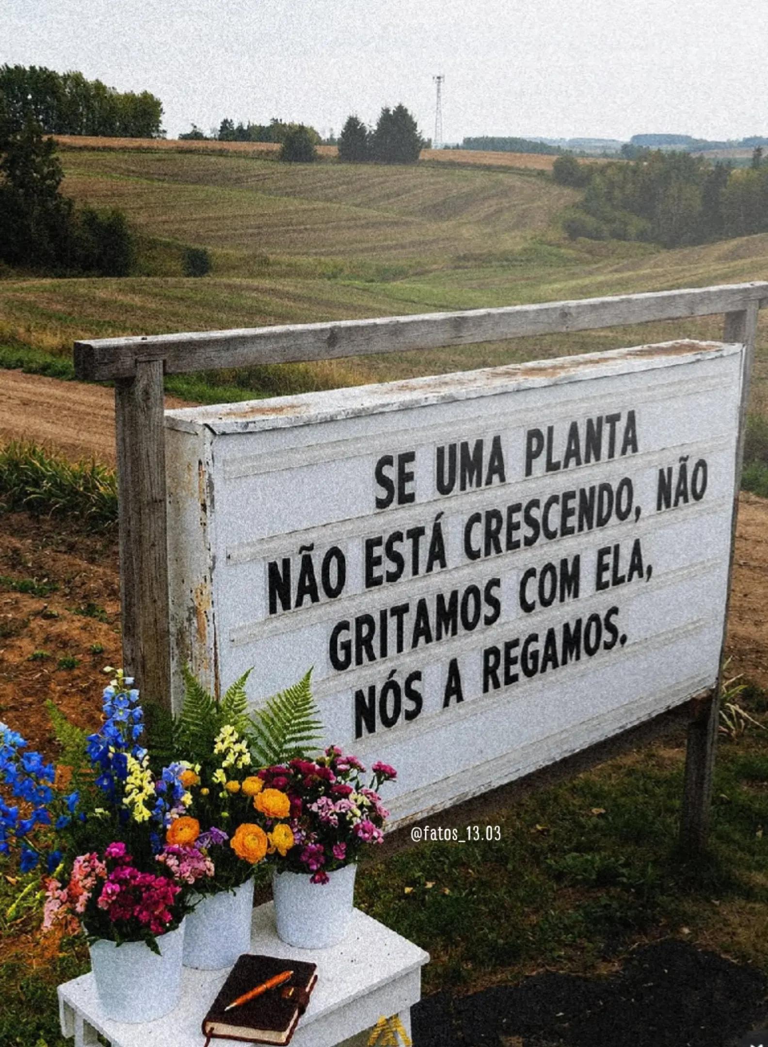 @❤️FATOS💔