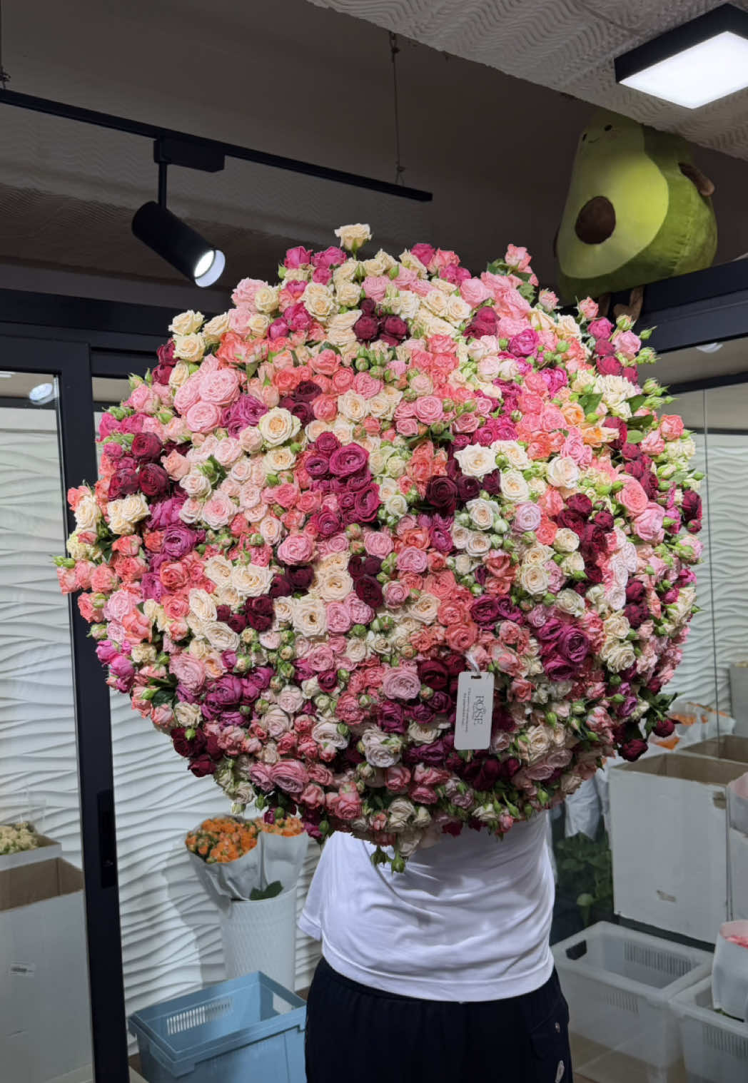 @33Rose