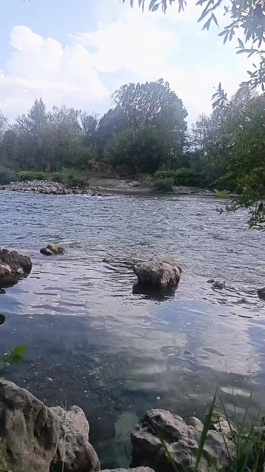 @𝐜𝐚𝐫𝐭𝐲.𝐭𝐢🧸