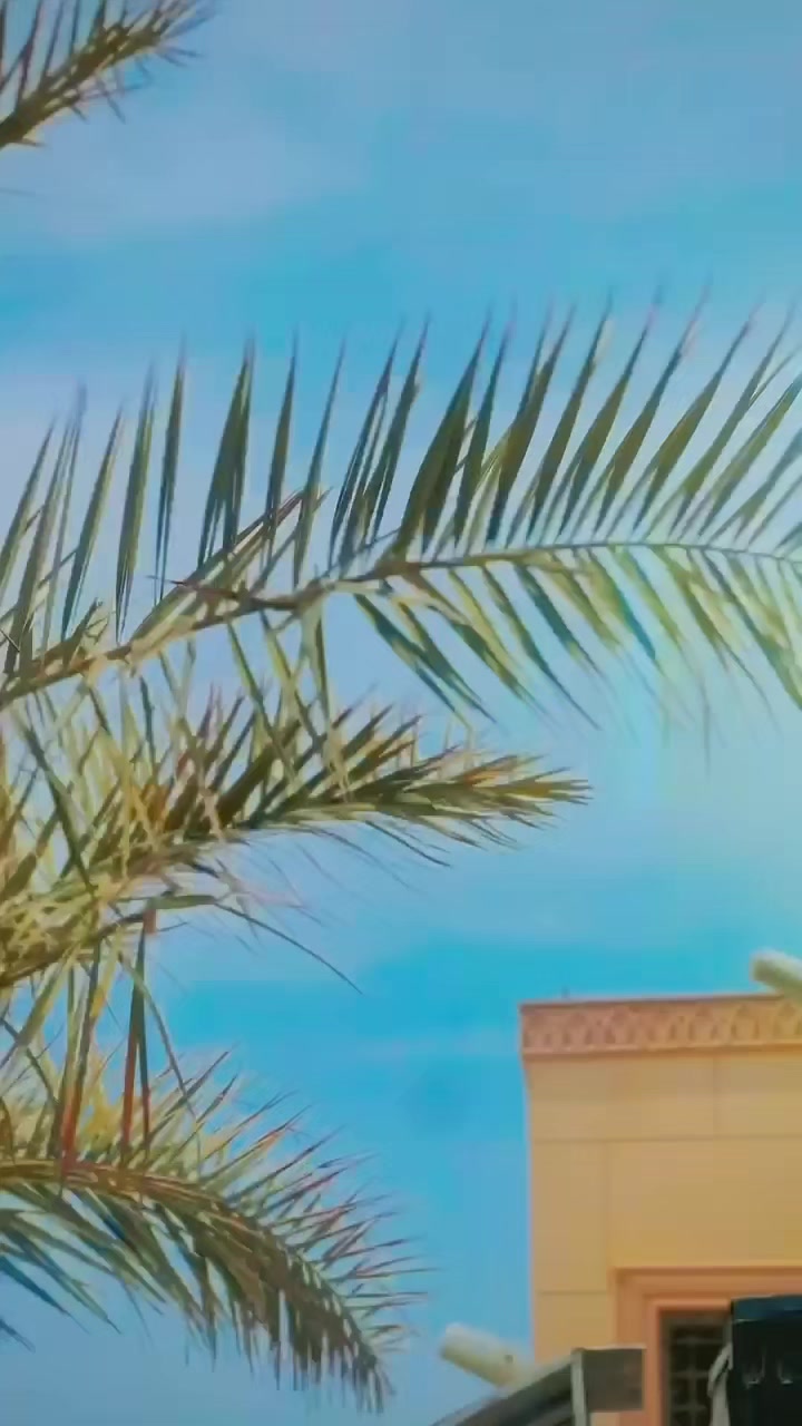@Ayubjane 🥰😍