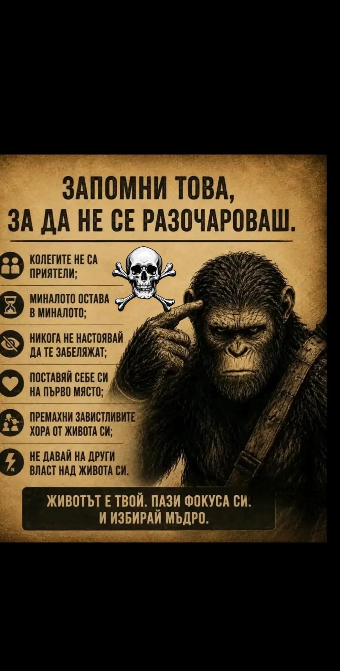 @🇧🇬Бясното Куче🇧🇬