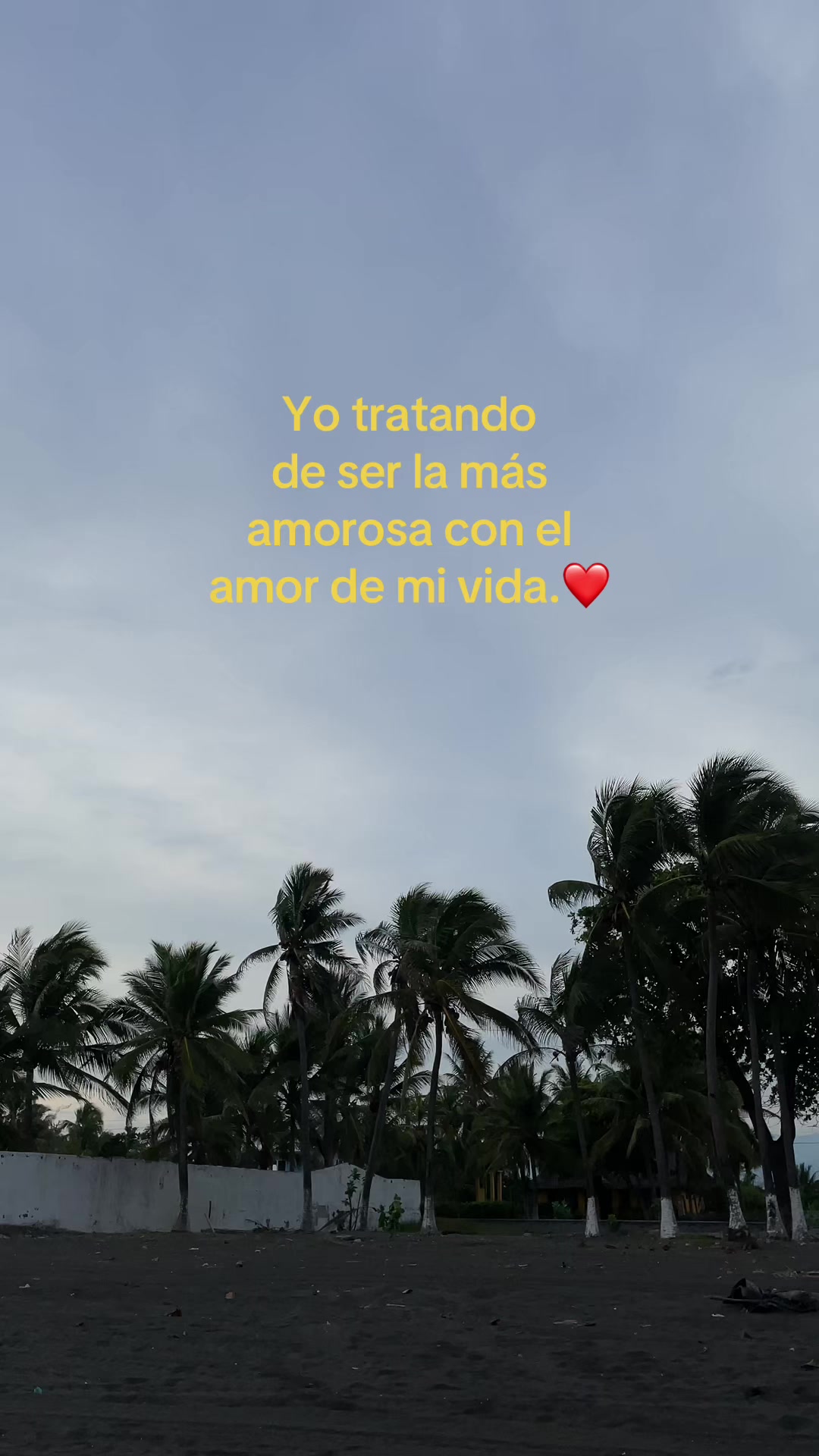@ᴅᴀʟɪʟᴀ ﾒ'𝟶