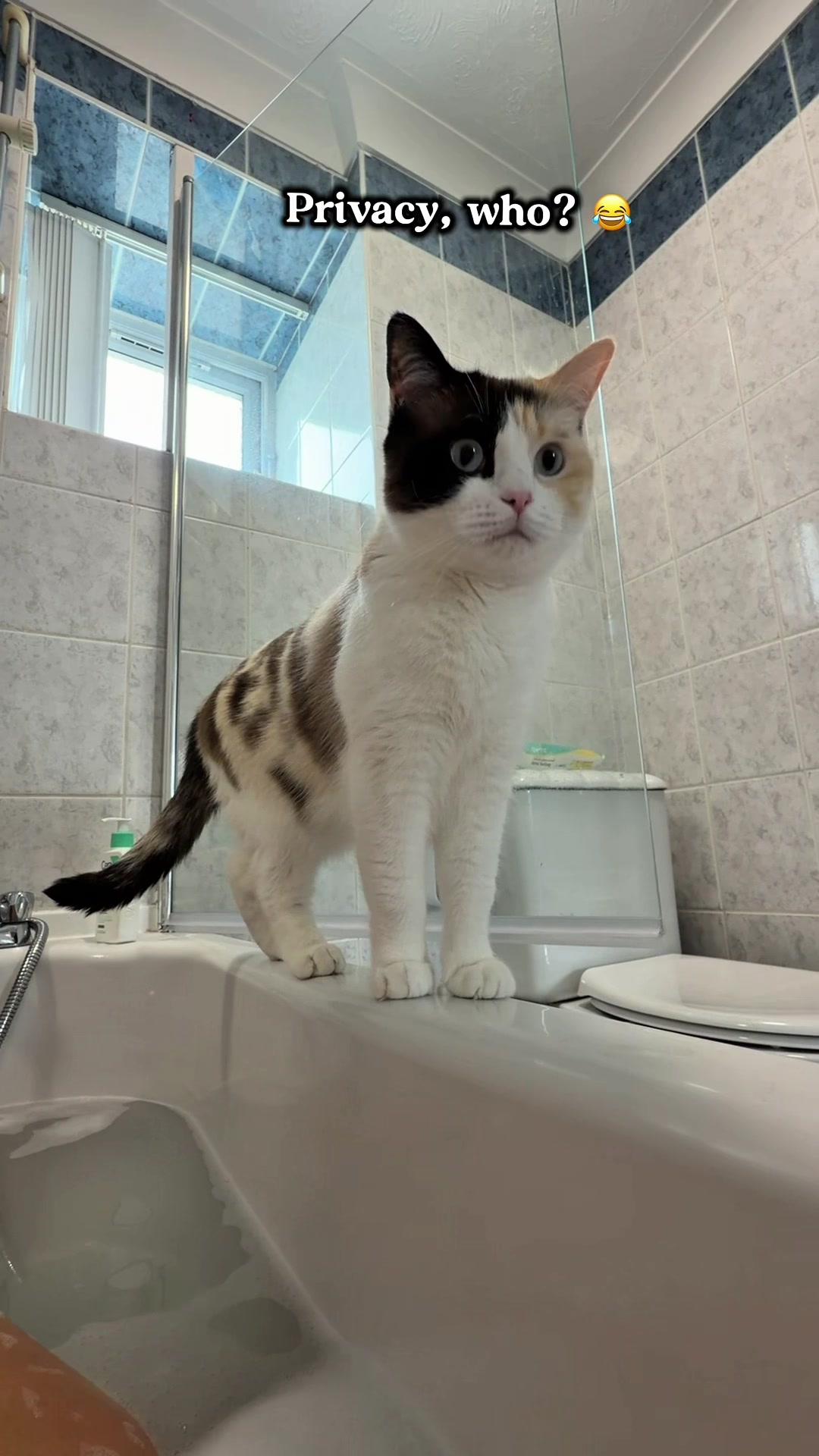 @slavic_cat_mum