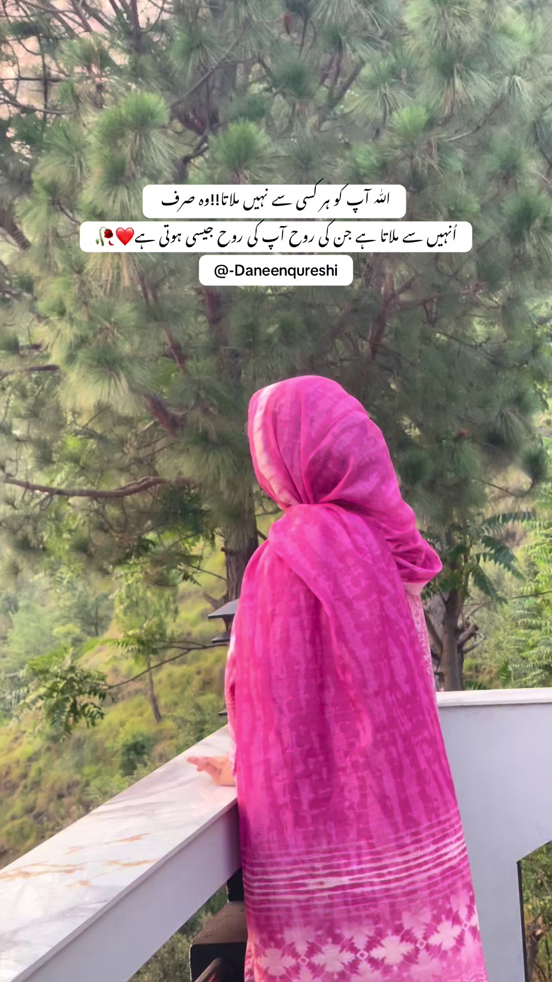 @daneen qureshi