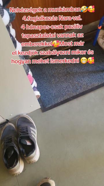 @Viki-Kutyakozmetika M&aacute;sk&eacute;pp