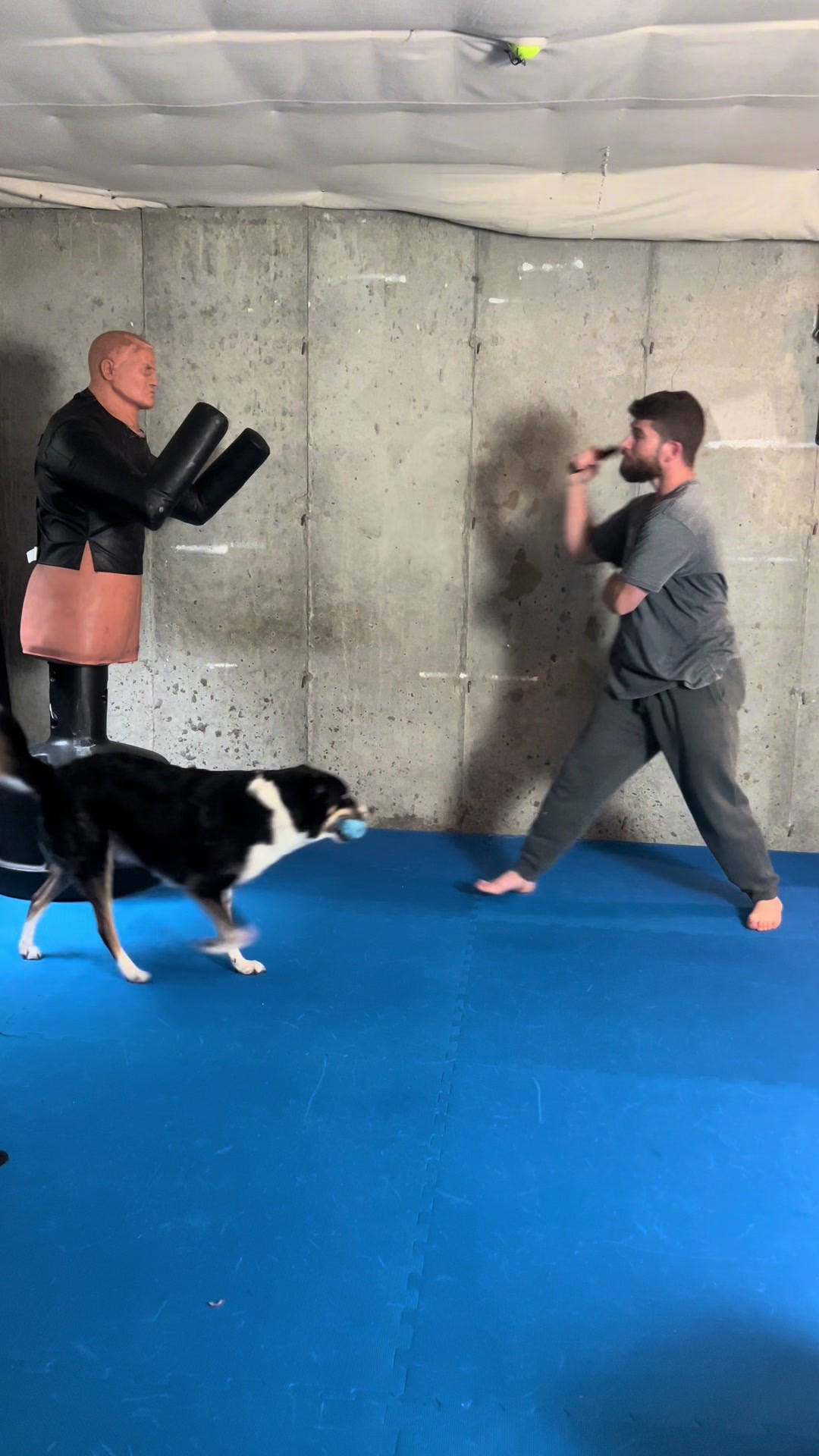 @adventurertraining