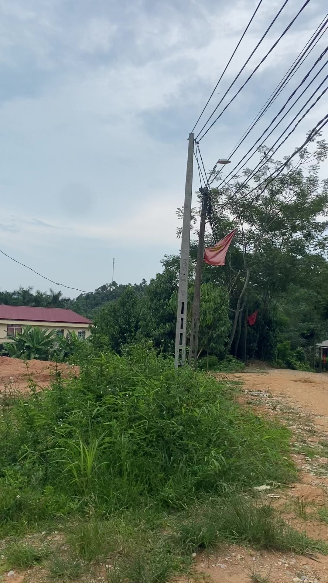 @N&ocirc;ng đức long