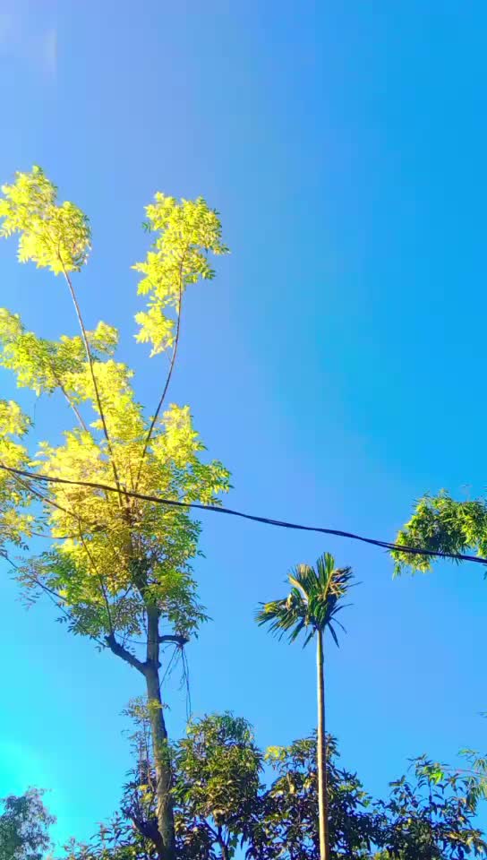 @Areyan Ayan