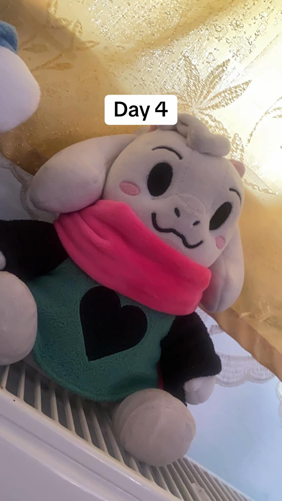 @Ralsei plush owner 25