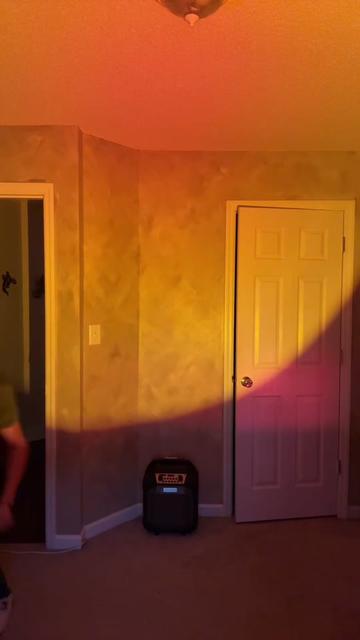 @nėwt