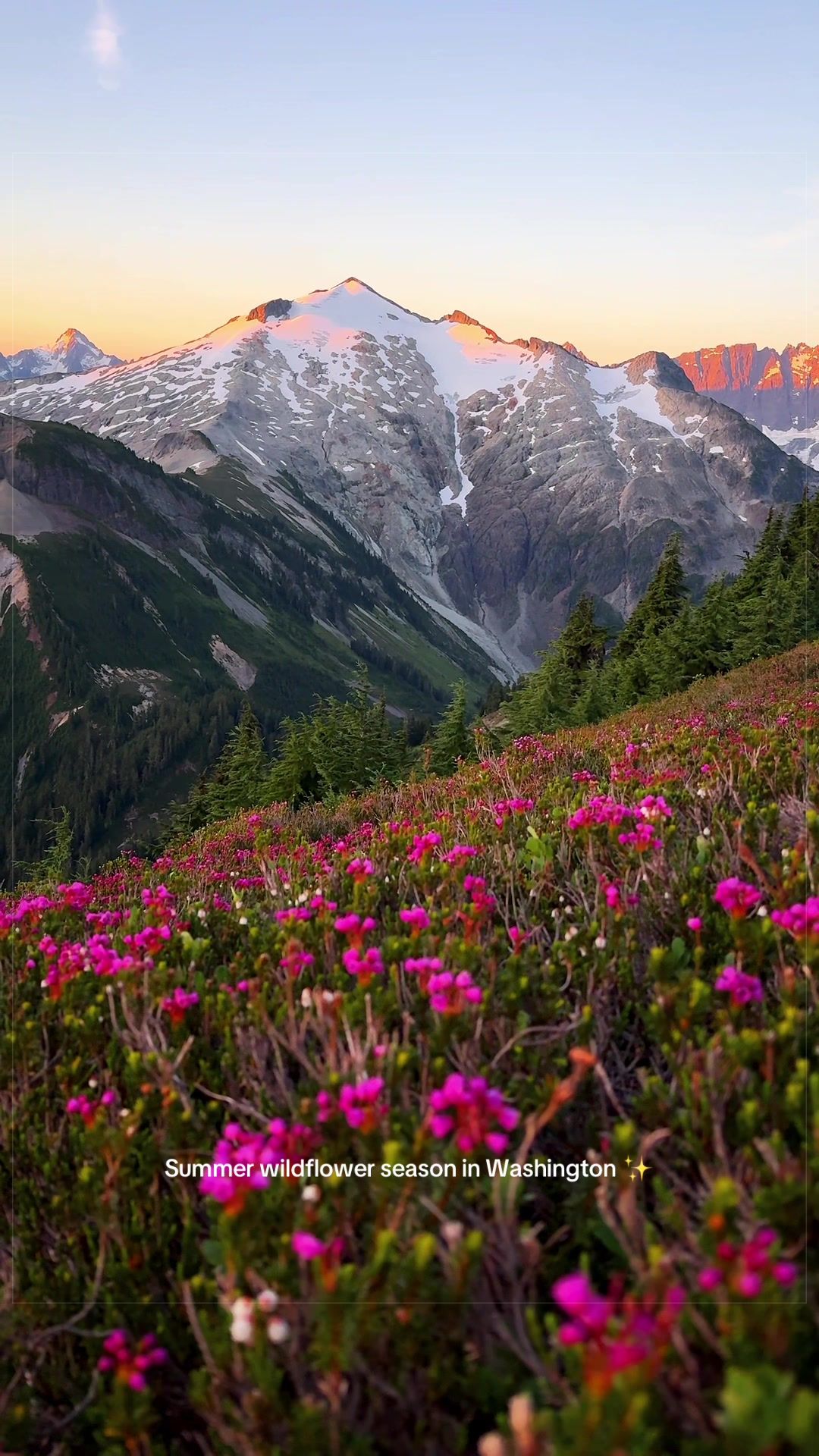 @David de Graaf || PNW 🏔