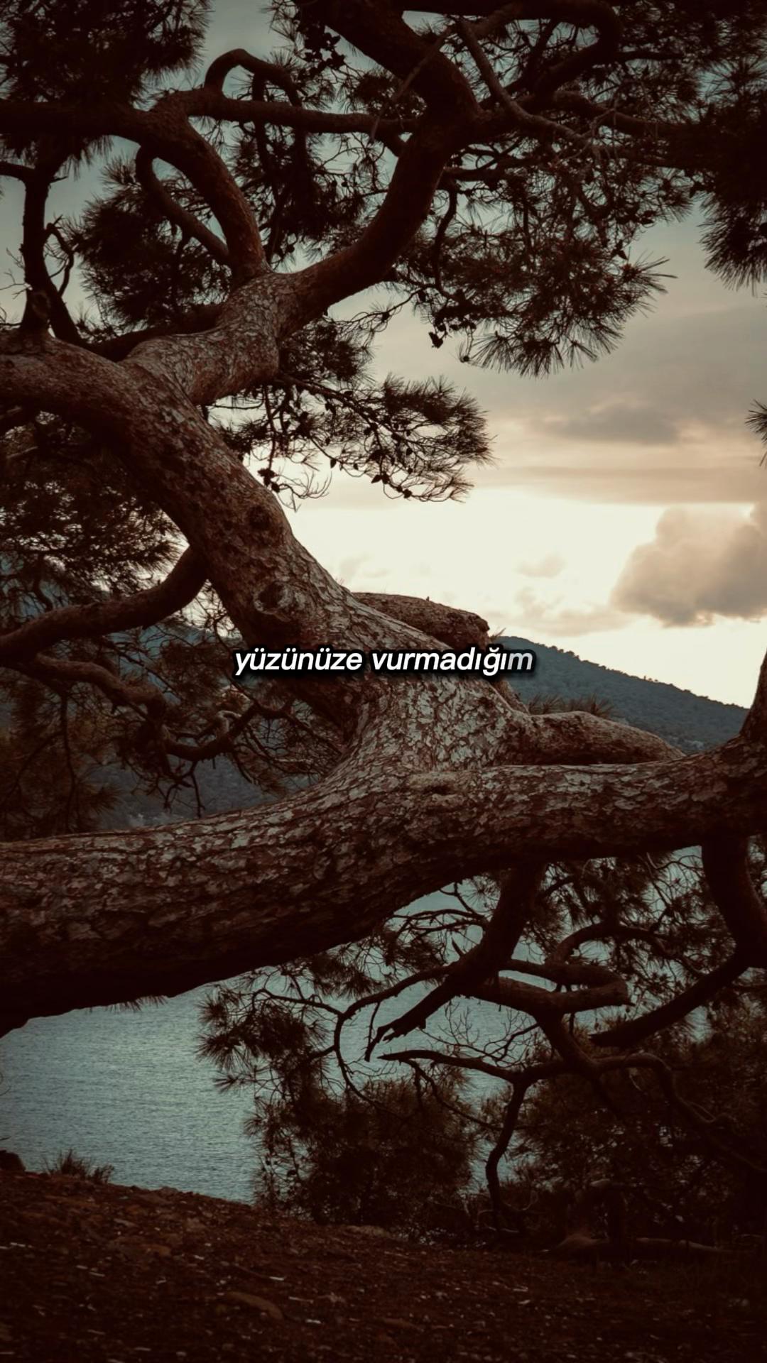 @G&uuml;zel s&ouml;zler