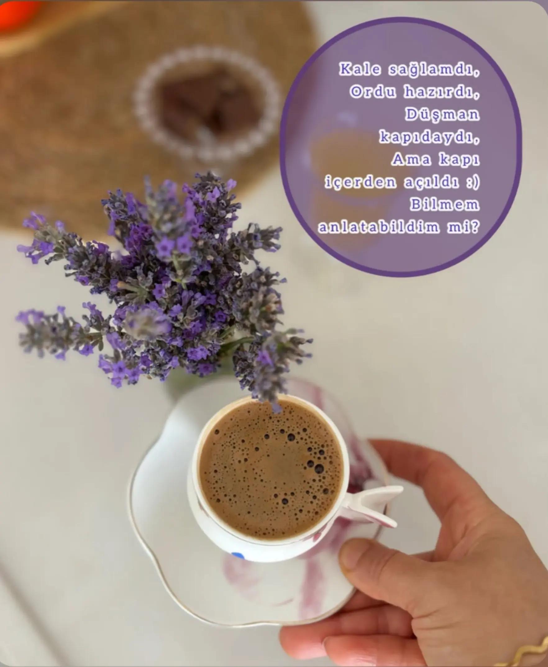 @🌺 &Ccedil;UKUROVALI 🌺