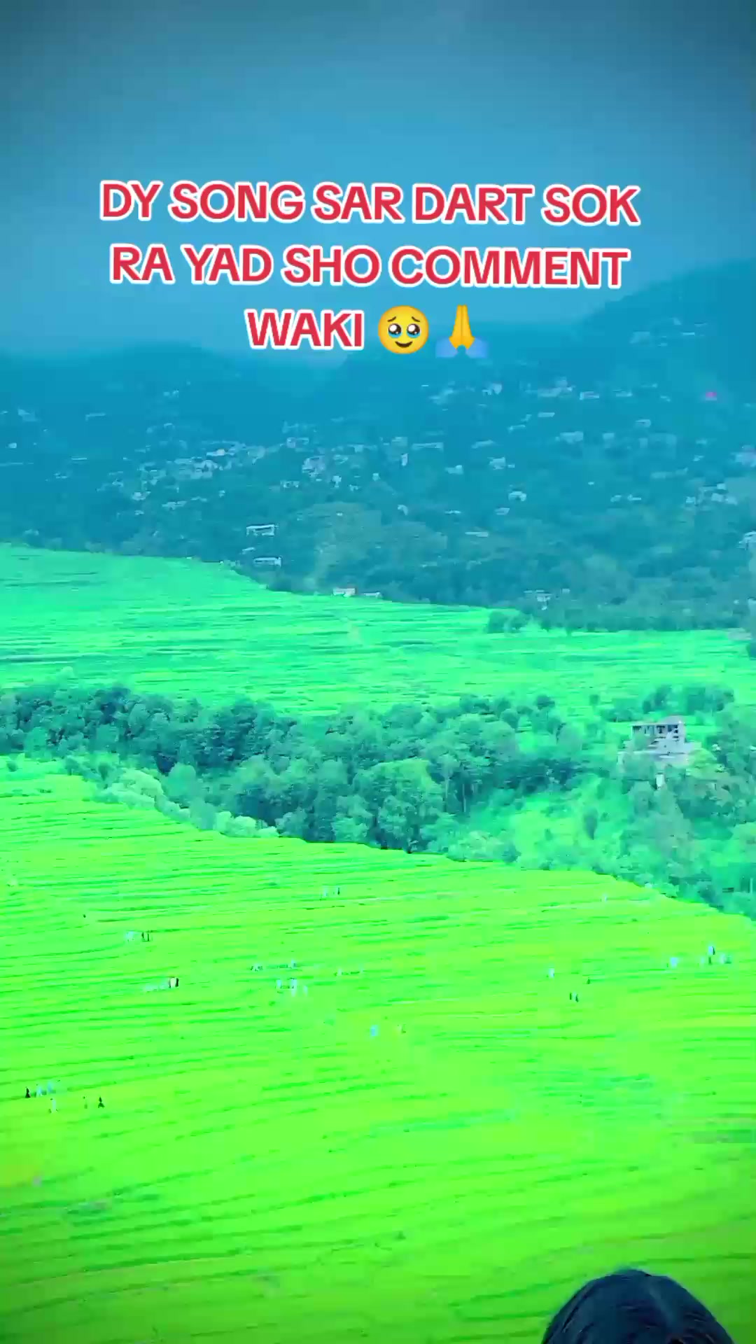 @🦋 🆉🅺 🅺🅰🅼🅸🦋
