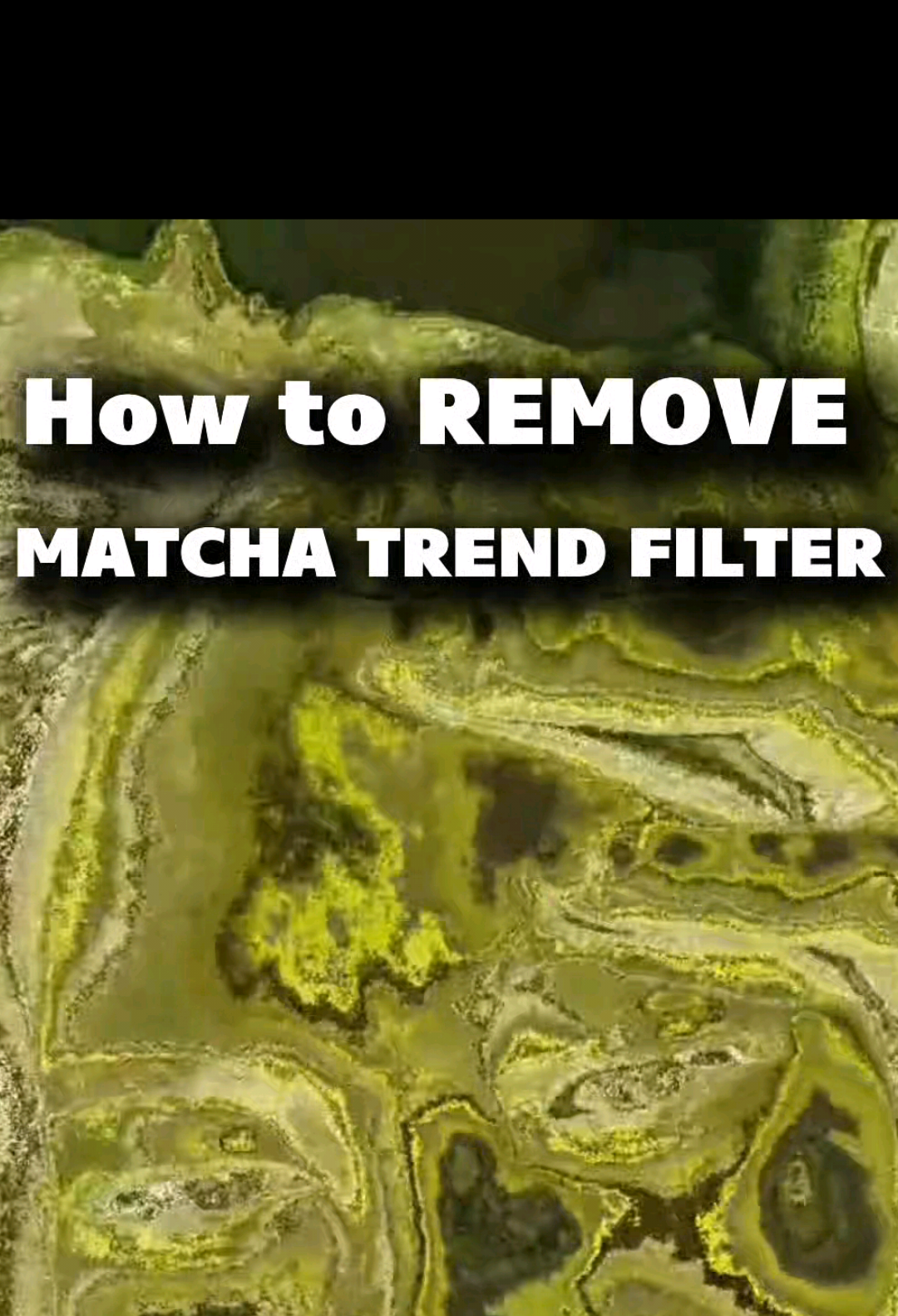 @Tiktok Tako
