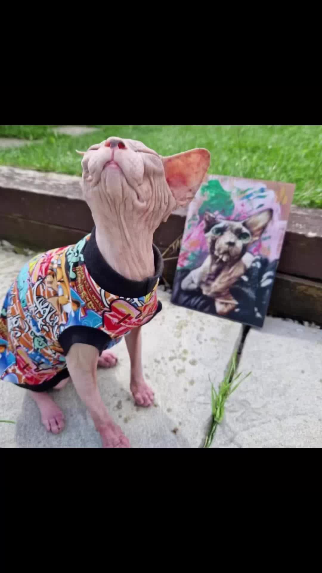 @Misterfeeneyart