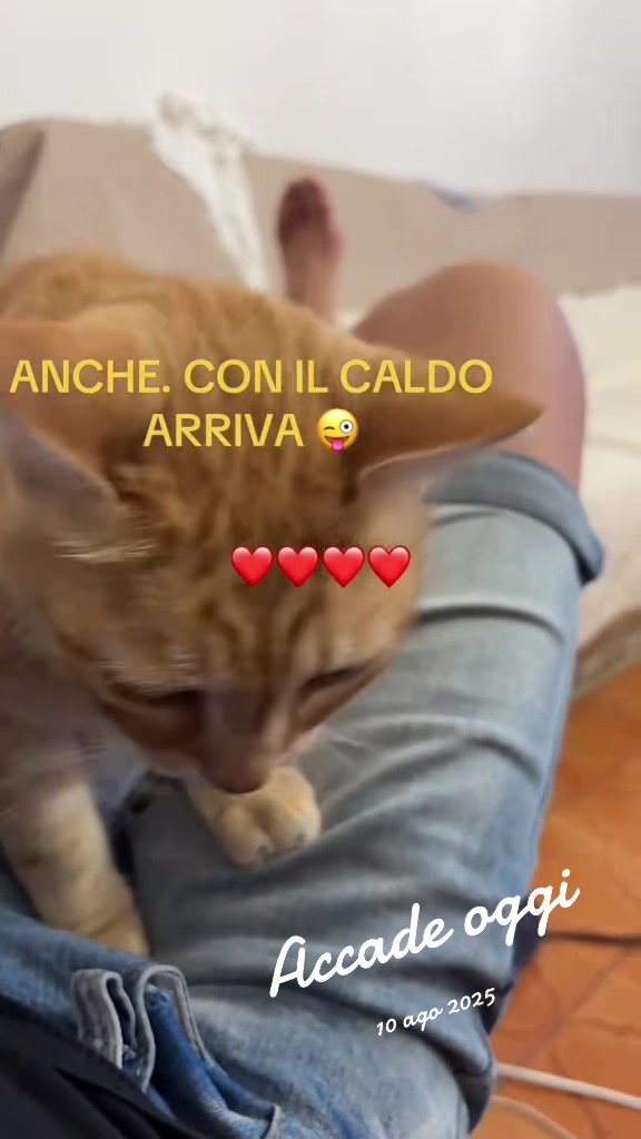 @Leonardo Orlandi215
