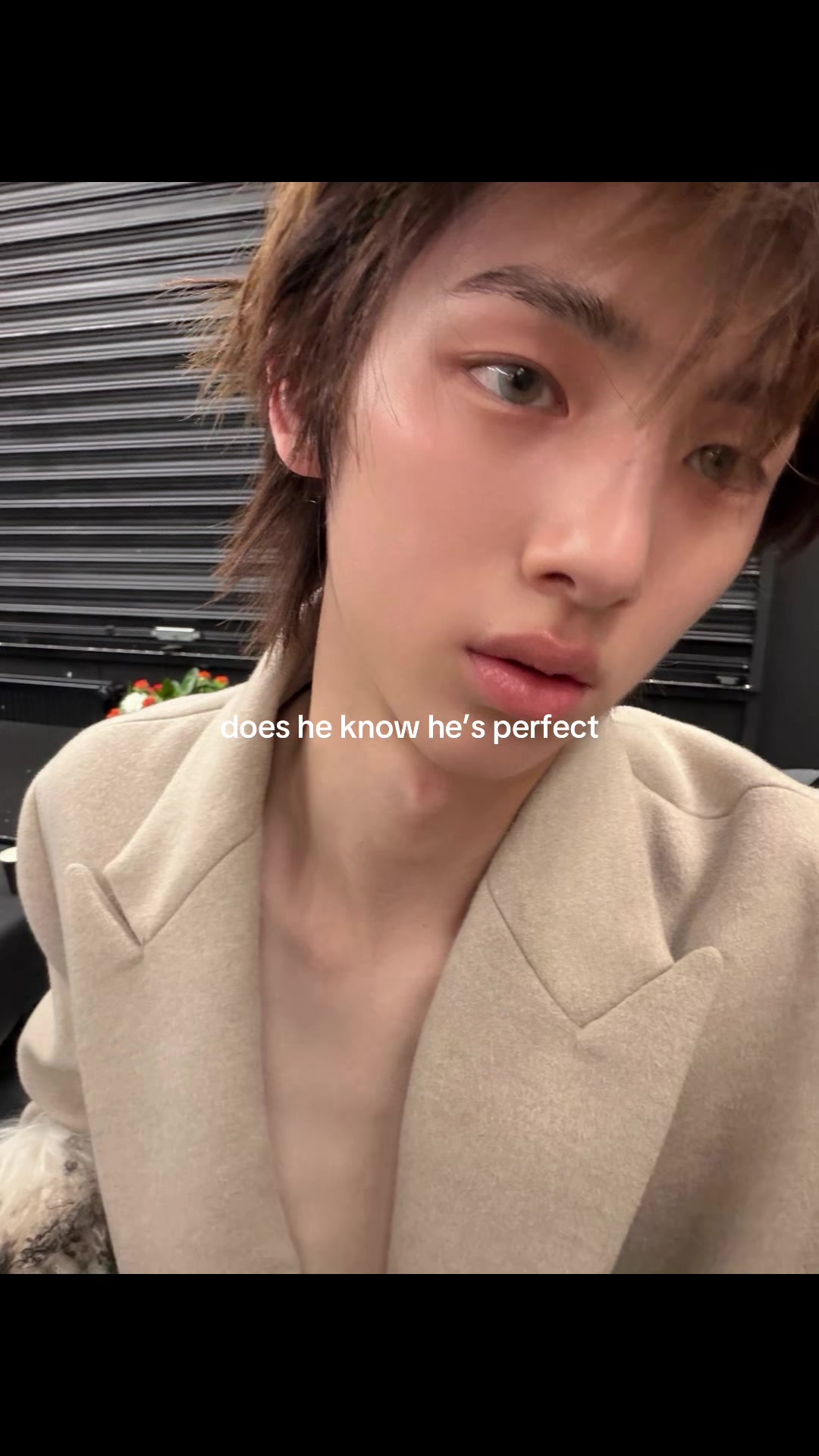 @avery⋆˙⟡