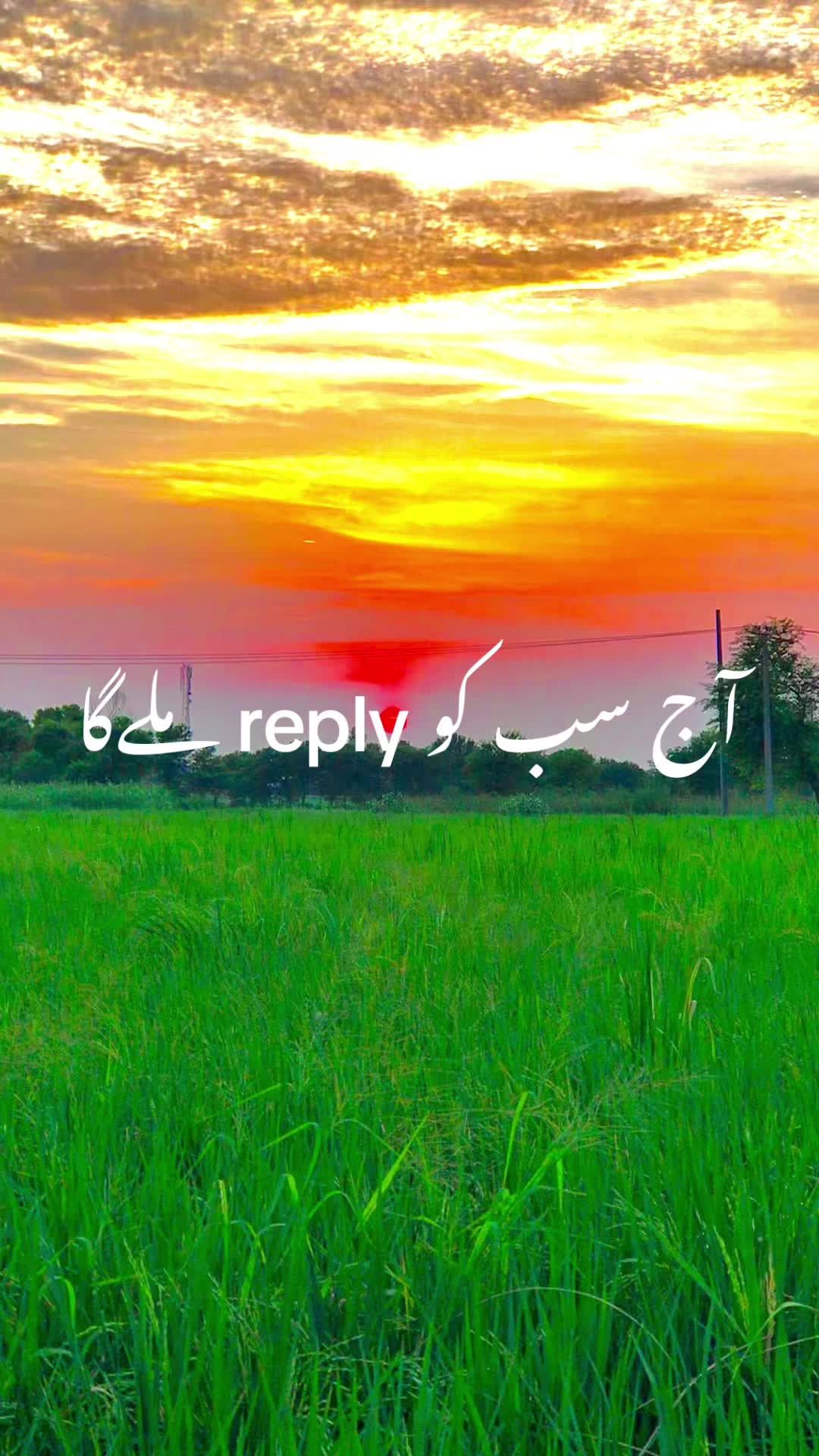 @پنجابی لڑکی🍃🌱💯