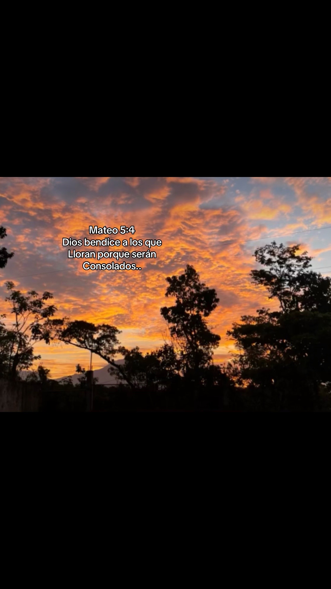 @MeyRodas07🫧🦋