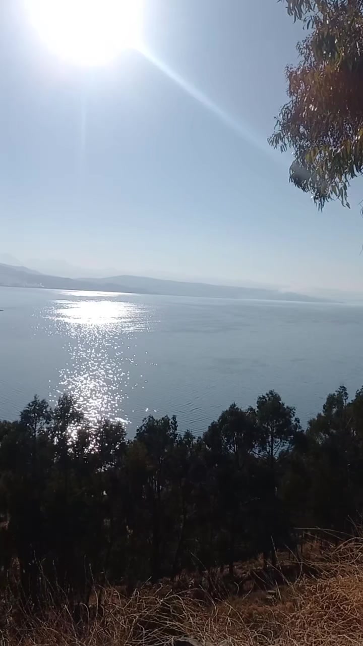 @yonela123