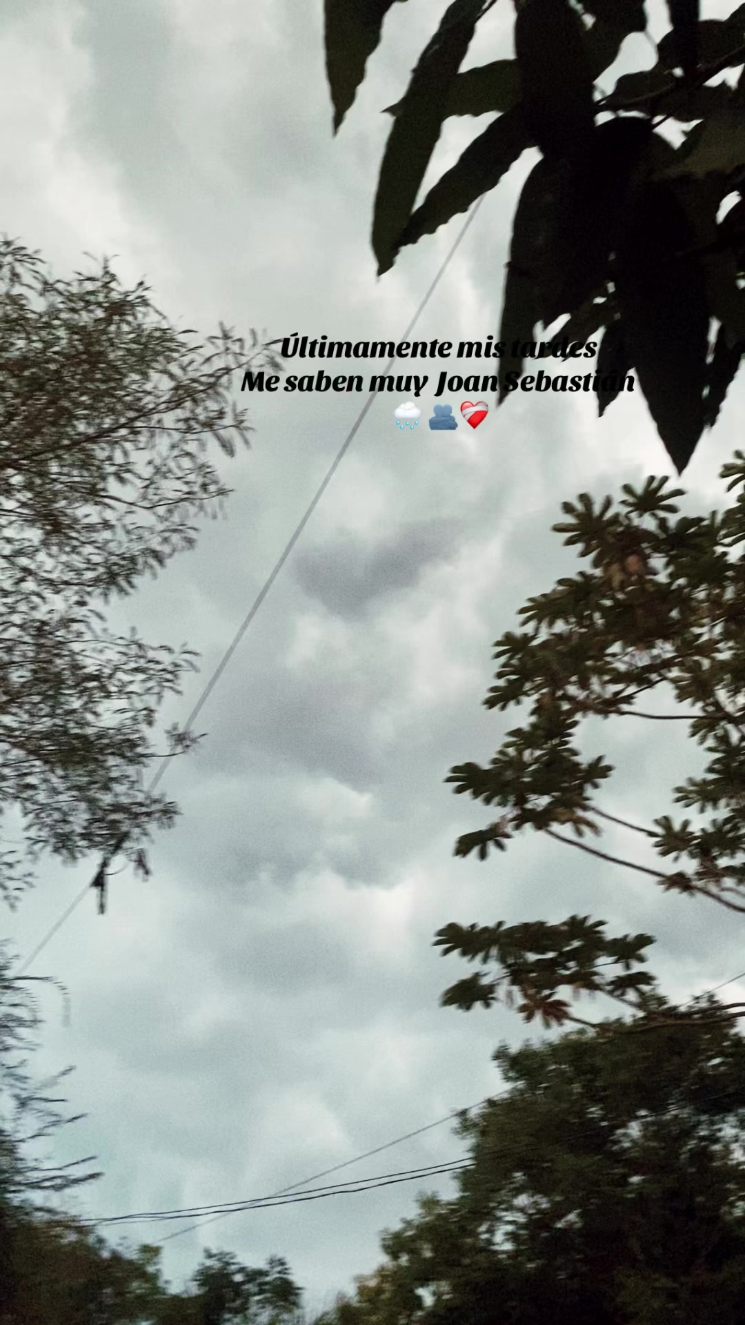 @𝐌𝐢𝐜𝐡𝐞𝐥𝐥𝐞 ٩(◕‿◕｡)۶