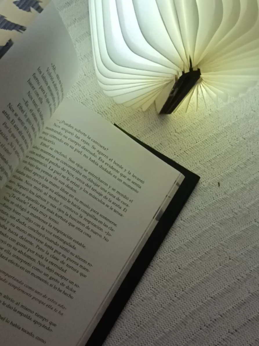 @Ginger Books 🫶🏻📚