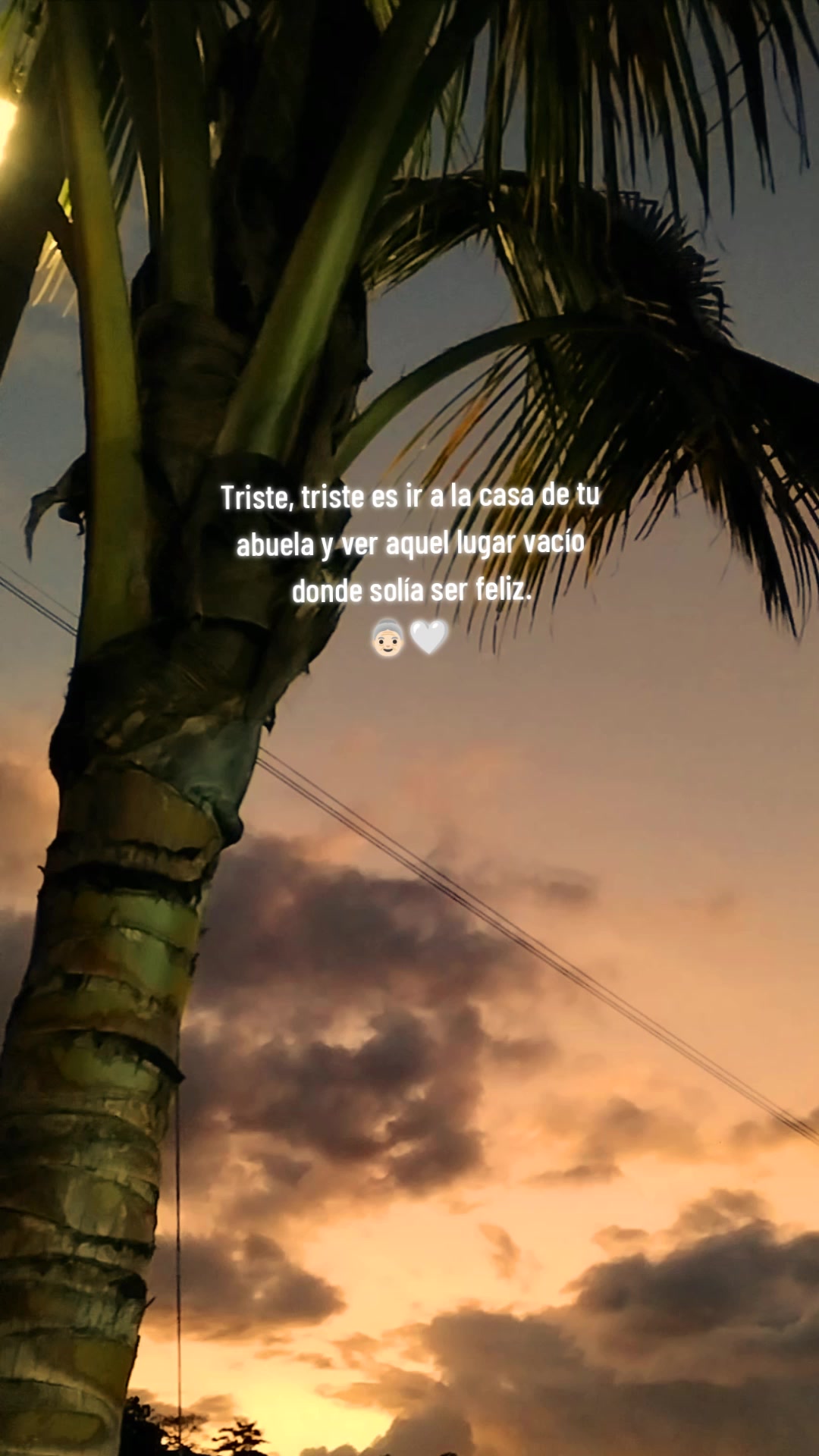 @Chelito_🥷🔥
