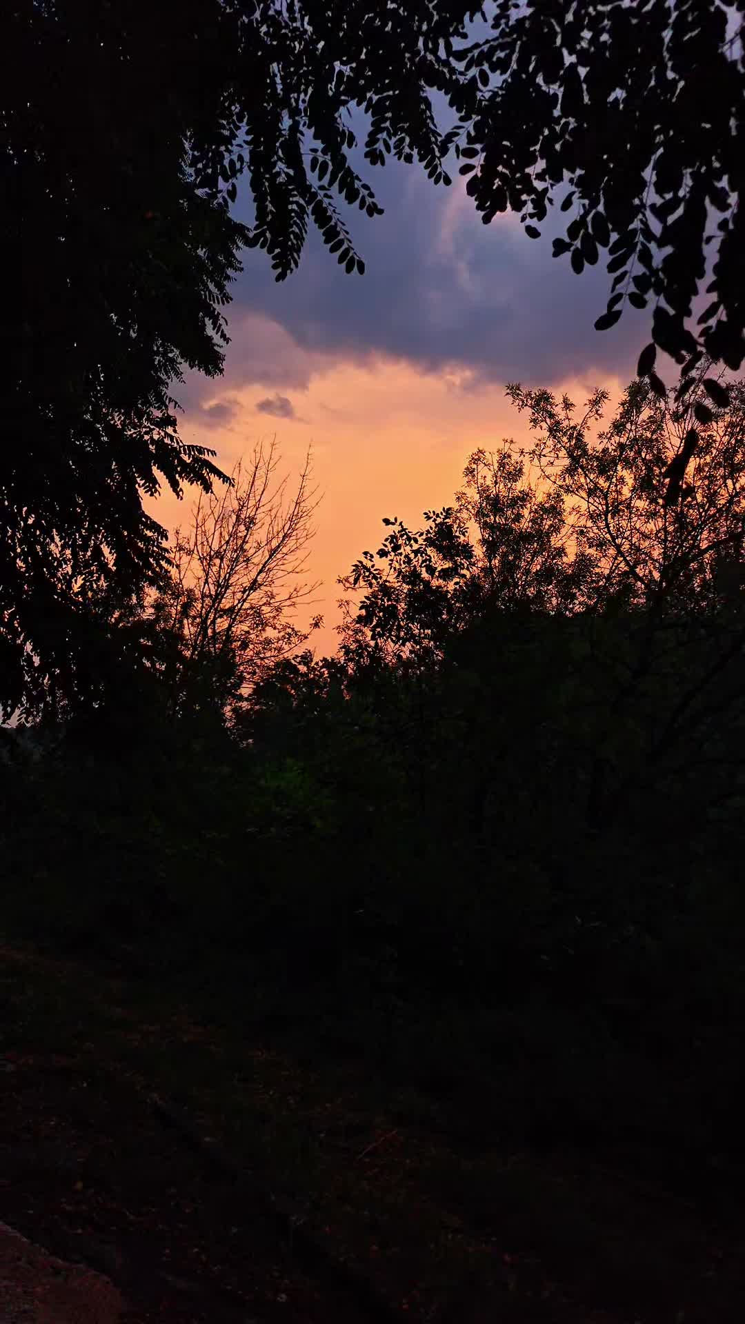 @ℕ𝕒𝕥𝕦𝕣𝕖 𝕝𝕠𝕧𝕖𝕣🌿