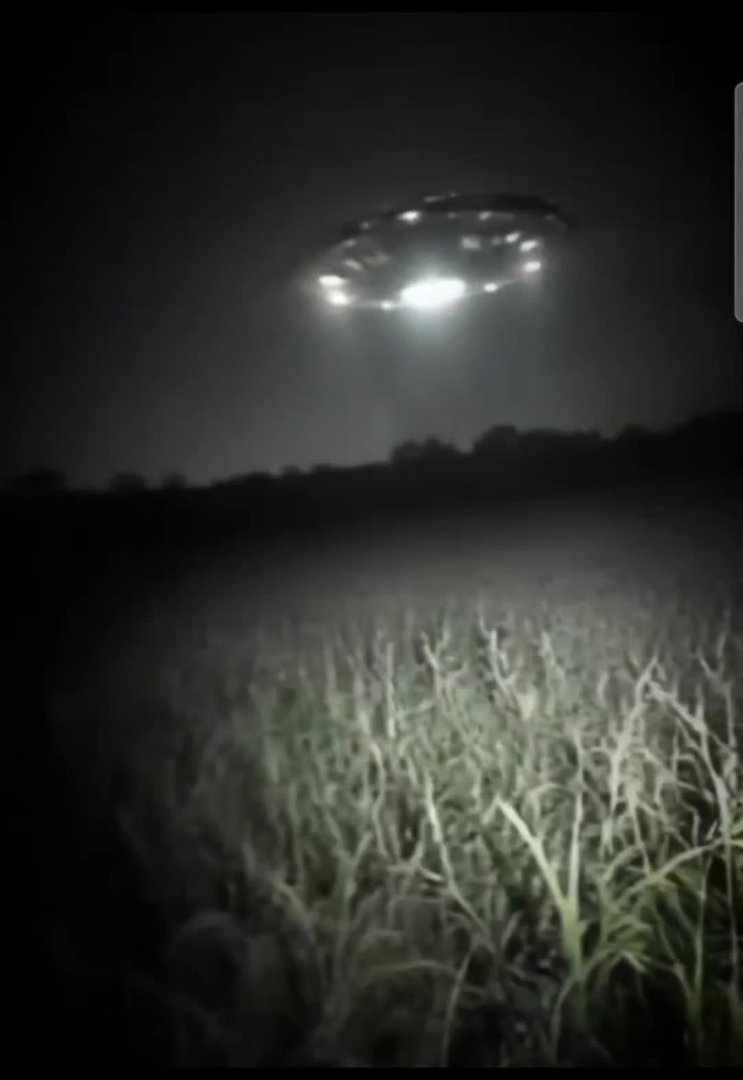 @🛸 UFO  DISCLOSURES 🛸