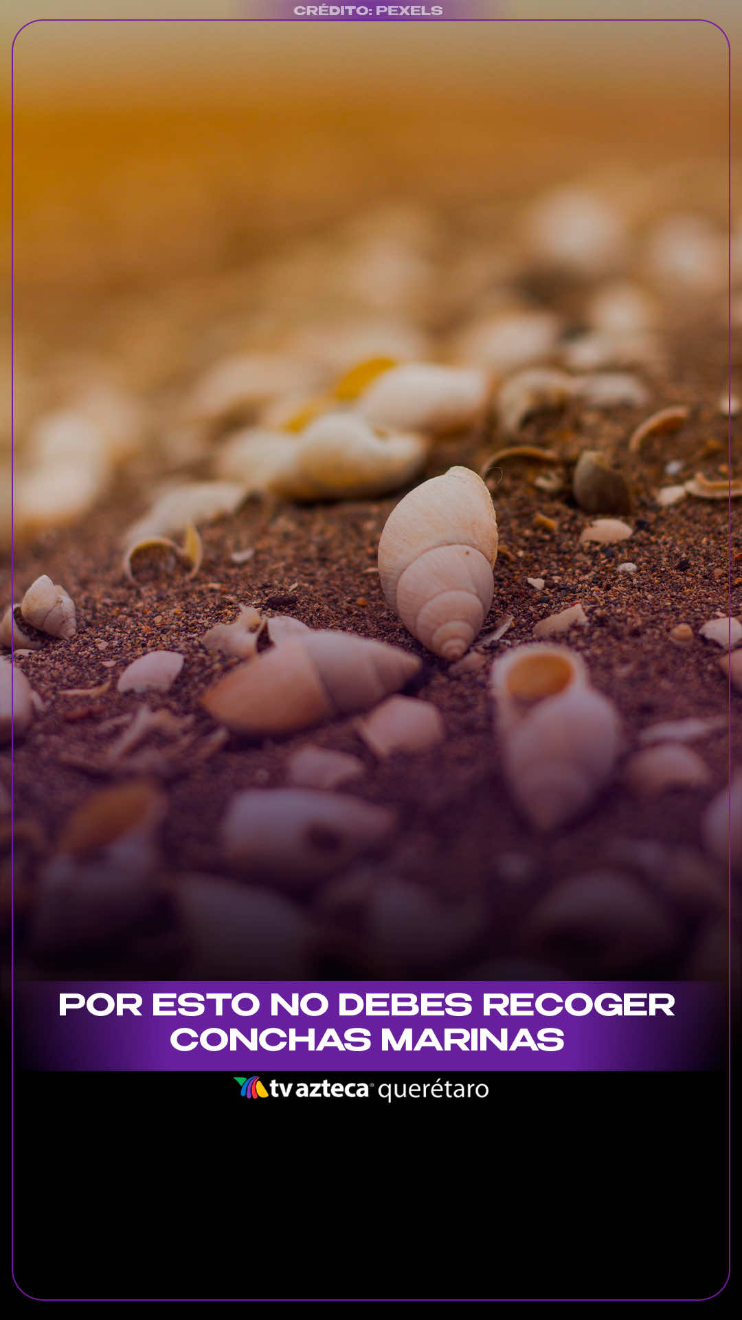 @TV Azteca Quer&eacute;taro