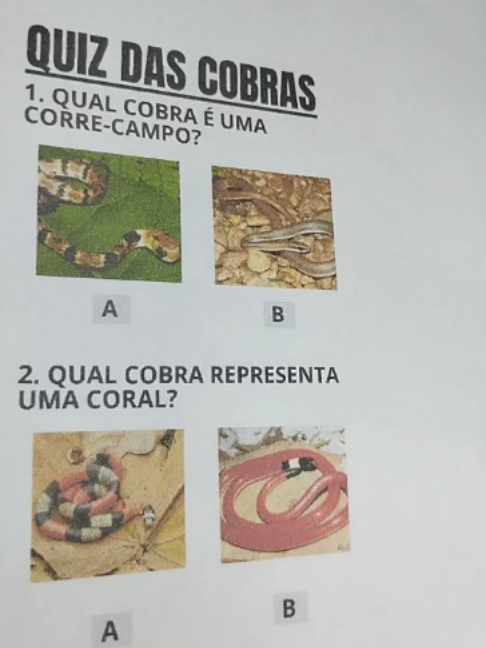 @Quiz na Folha