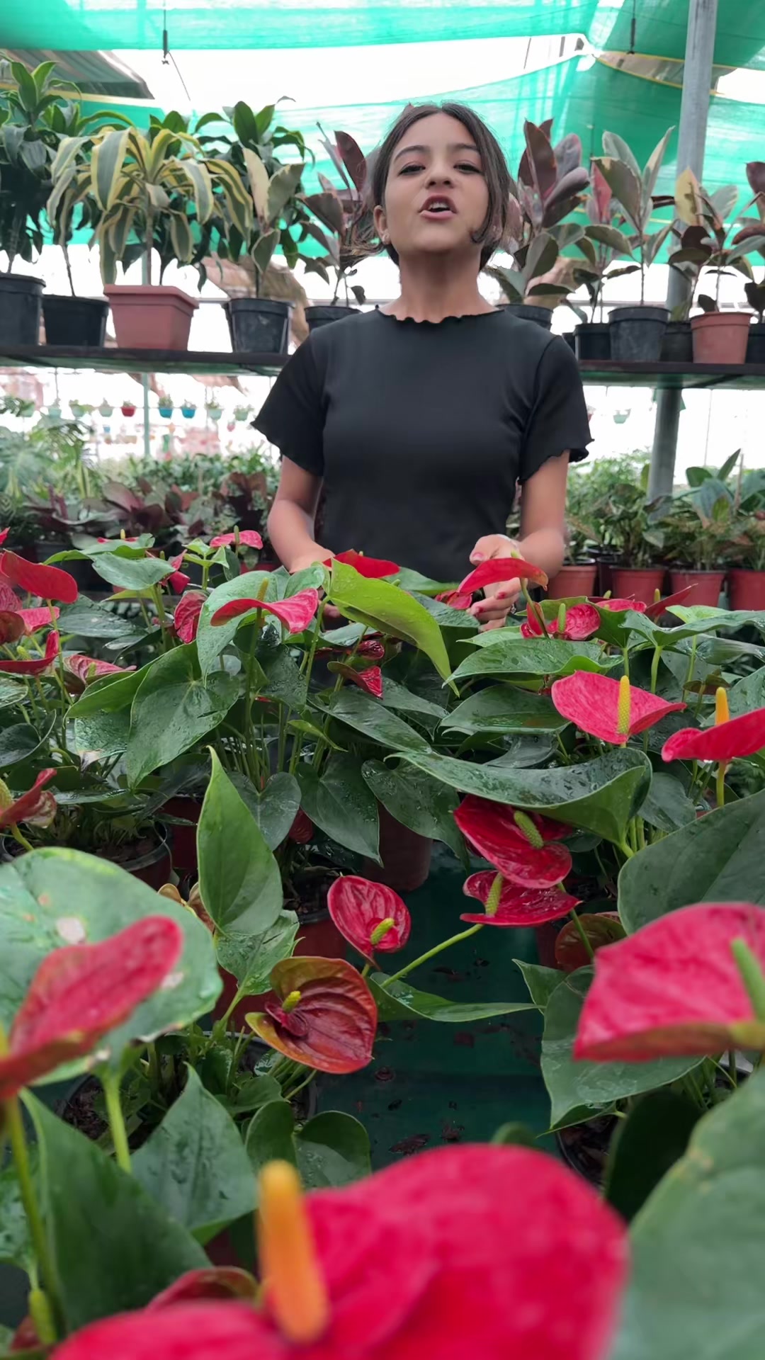 @Uday Garden Centre