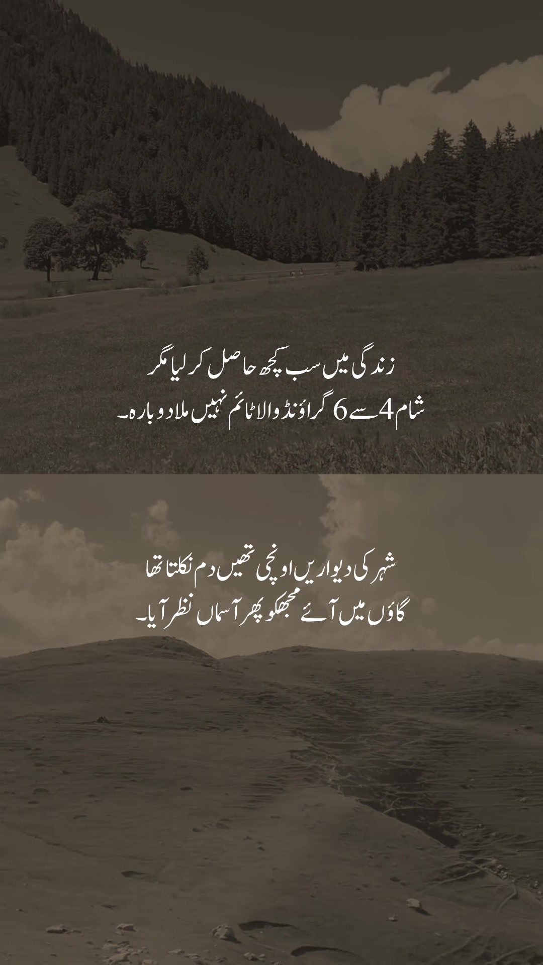 @𓆩شیراز𓆪