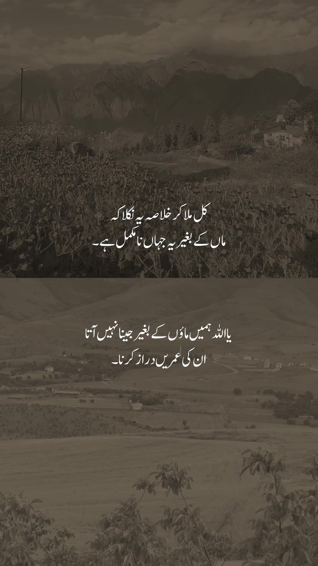 @𓆩شیراز𓆪
