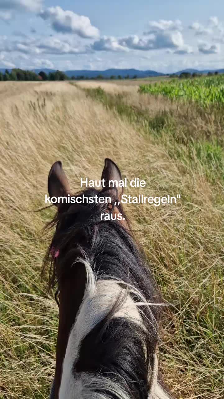 @Herzenspferdanuuk