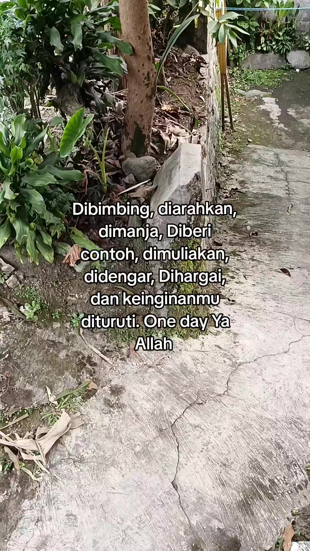 @phiosad